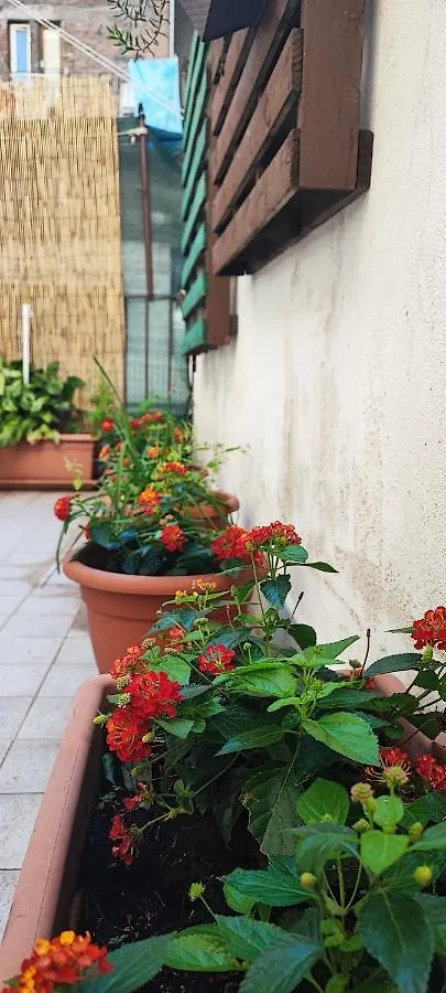 Downtown Vicino Al Duomo Apartment Catania Italy